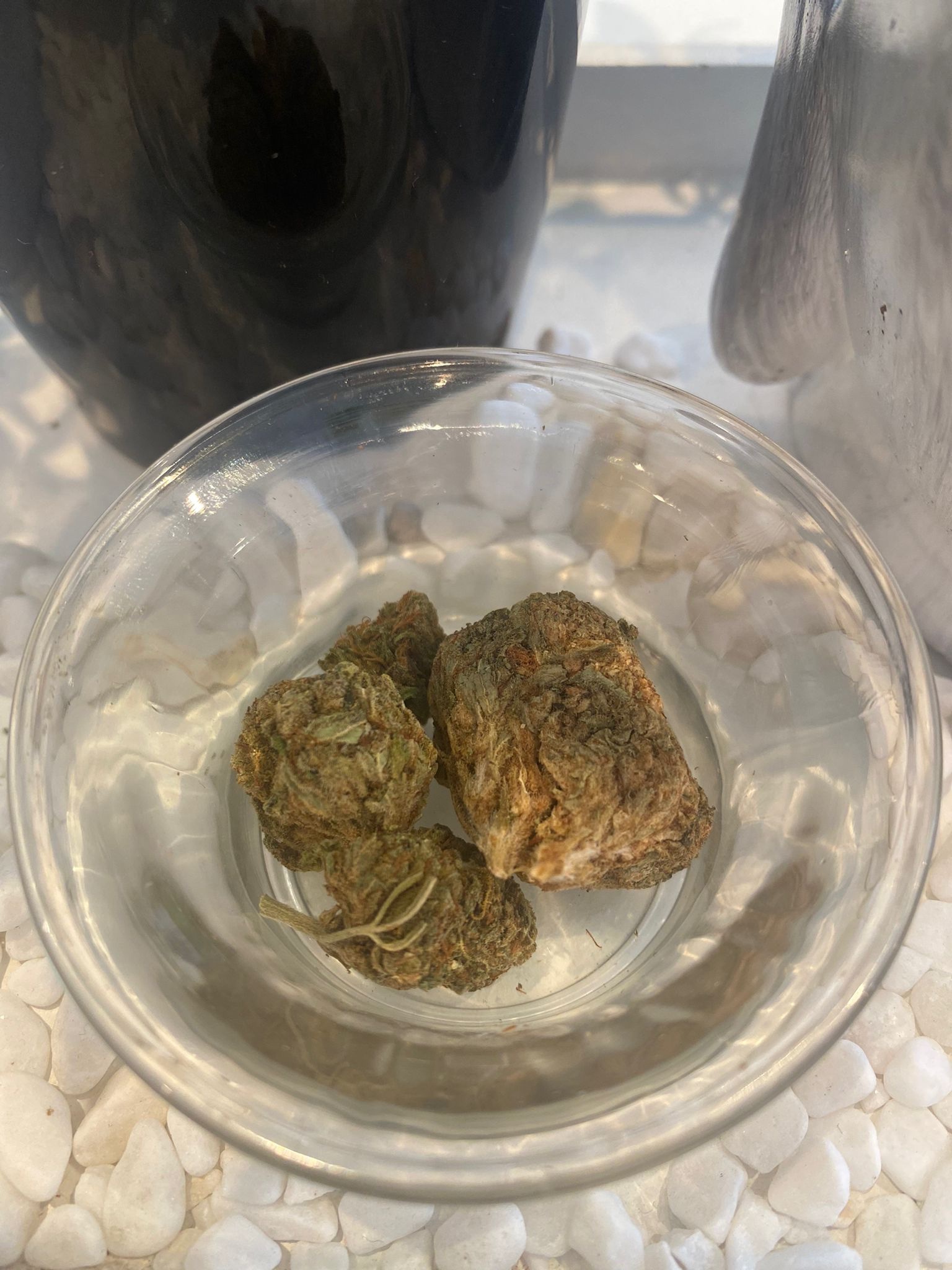 PineApple kush CBDExcellence